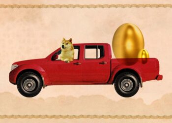 My partner, the Dogecoin mogul