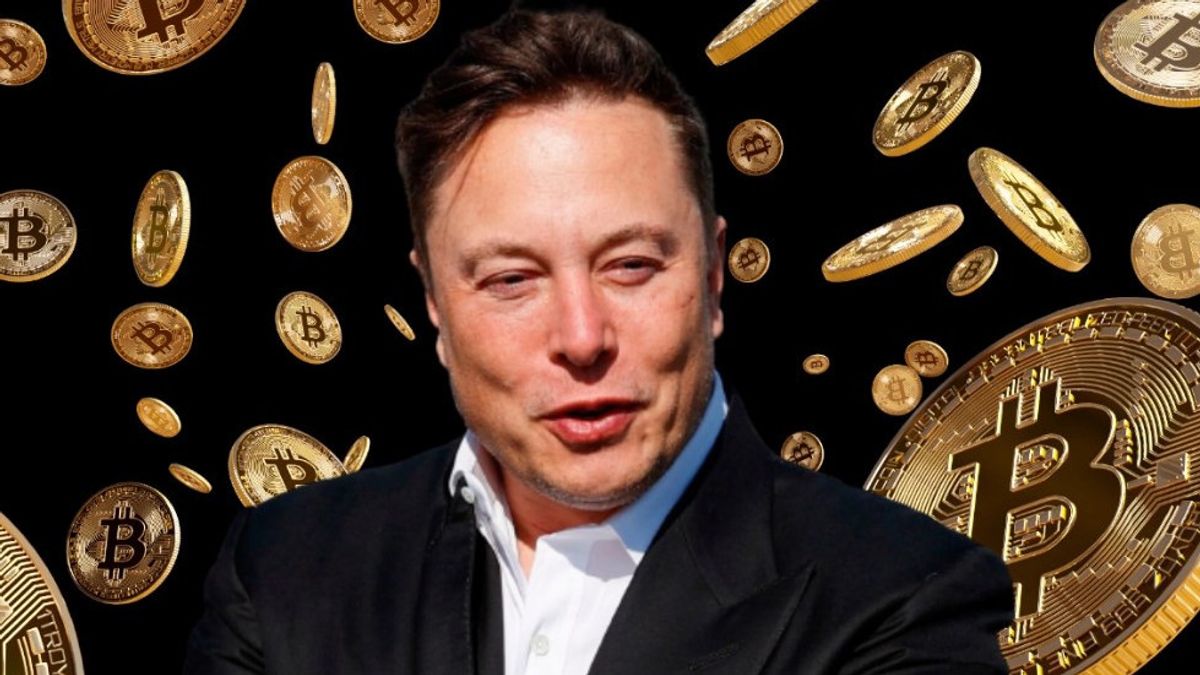 bitcoin aussie system elon musk