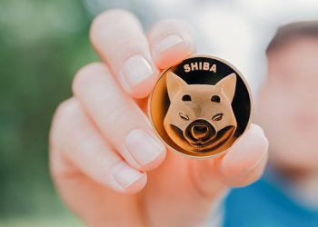 Shiba Inu Team Warns SHIB Investors About Scammers