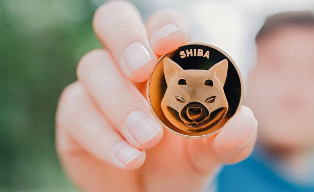Shiba Inu Team Warns SHIB Investors About Scammers