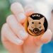Shiba Inu Team Warns SHIB Investors About Scammers