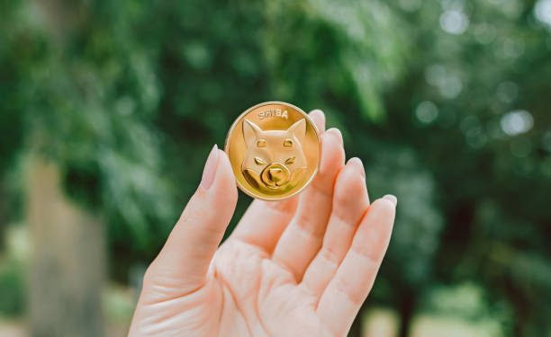 Robinhood COO Praises SHIB As Crypto Wallet Waitlist Surpasses 1.6M