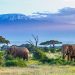 Tanzania Allegedly Planning To Launch CBDC