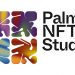 Microsoft Led Palm NFT Studio’s $27M Series B Funding Round