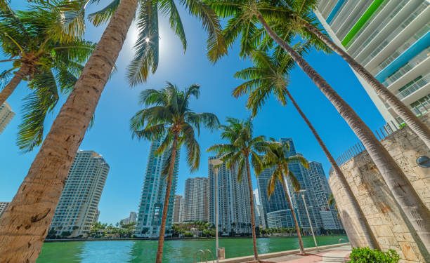Miami Mayor Agrees To Take 401K Retirement Savings Partially In Bitcoin