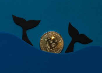 Third-Biggest Whale Celebrated Bitcoin’s Birthday With 456 BTC Buy
