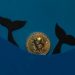 Third-Biggest Whale Celebrated Bitcoin’s Birthday With 456 BTC Buy