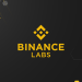 Binance Labs Supports $200M Oasis Ecosystem Fund