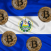 El Salvador To Develop First Wave Park In Central America Dubbed ‘Bitcoin Beach’