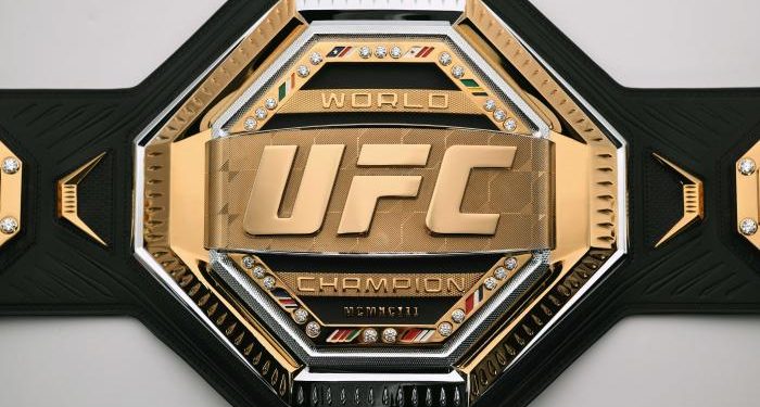 UFC Heavyweight Champion May Accept Half Of Next Fight Salary In Bitcoin