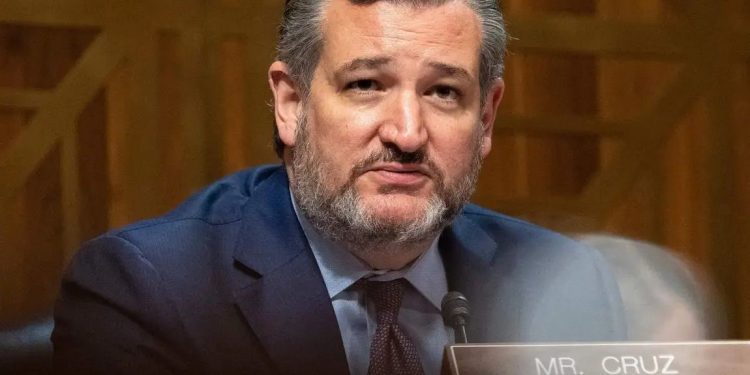 Ted Cruz Buys The Bitcoin Dip