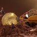 Crypto Firms In Texas Stop Mining Over Power Demand This Winter
