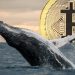 Bitcoin Whales Invest Aggressively As Small Holders Divest