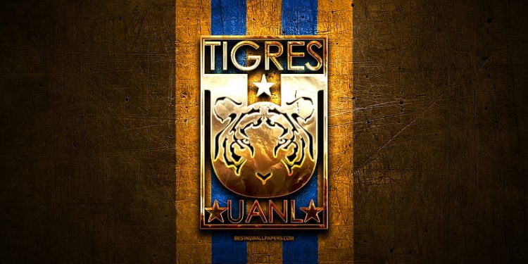 Mexican Soccer Giant Tigres Accept Bitcoin Payments