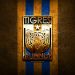 Mexican Soccer Giant Tigres Accept Bitcoin Payments