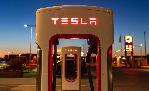 Tesla Suspends Bulk Production In Shanghai Amid Supply Issues