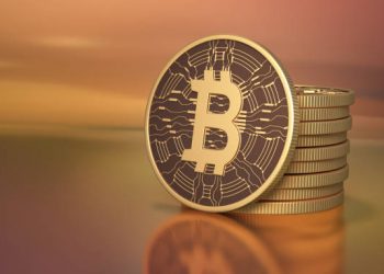 Non-Whale Bitcoin Investors Break New BTC Accumulation Record