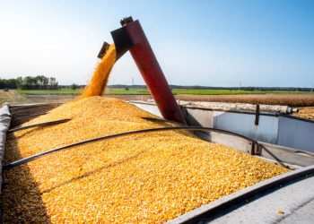 U.S. Railways Delay Grain Shipments Ahead Of Possible Closedown - Agriculture Sources