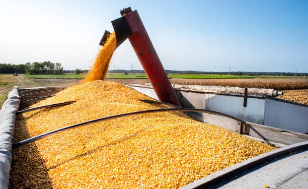 U.S. Railways Delay Grain Shipments Ahead Of Possible Closedown - Agriculture Sources
