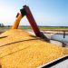 U.S. Railways Delay Grain Shipments Ahead Of Possible Closedown - Agriculture Sources