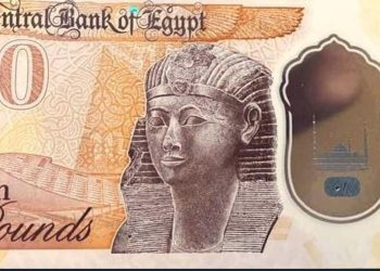Egypt Seeks New Currency Indicator To Move People Away From U.S. dollar
