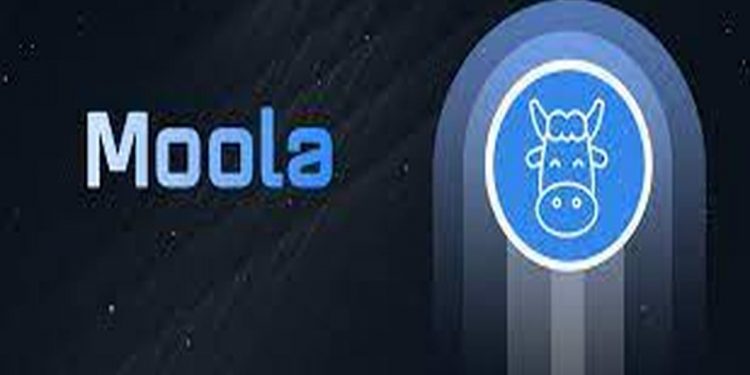 Moola Market Suspended Trades After An $8.4M Hack
