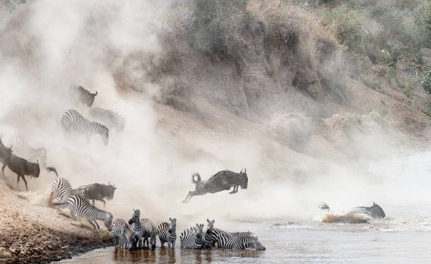 5 Signs That An Altcoin Bull Run Is Imminent But The Waters Are Still Murky