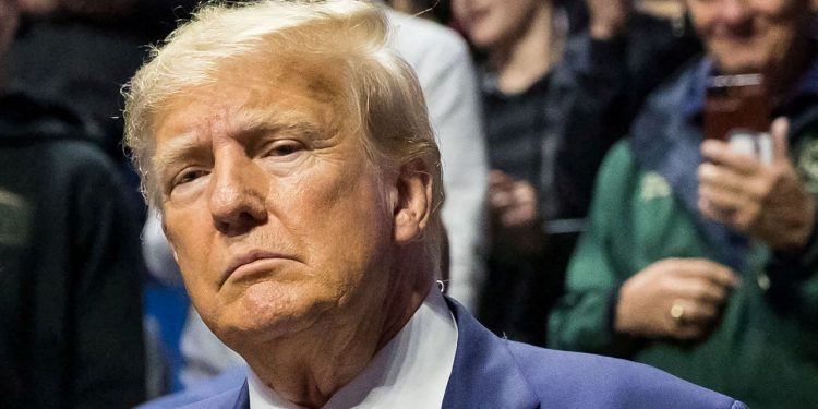 How Is Donald Trump's Indictment Affecting The Crypto Space?