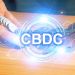 Will CBDCs Replace Banks?