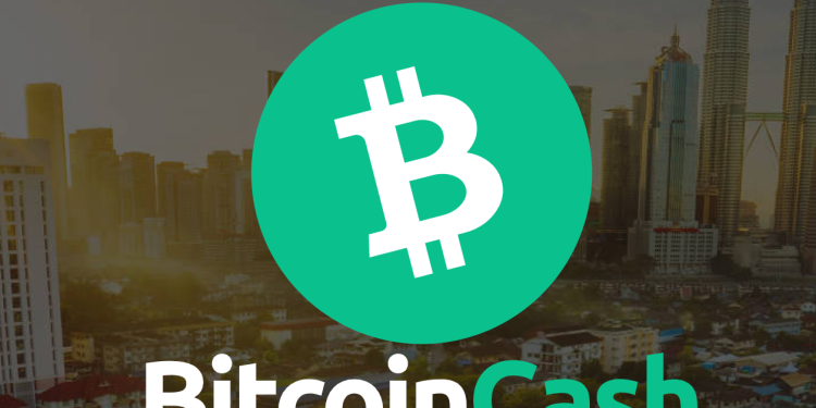 Why Is Bitcoin Cash Price Up Today?