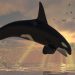 10-Year Dormant Bitcoin Whale Resurrects, Transfers $38.1M Worth of Bitcoin