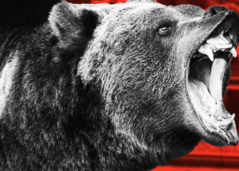 Crypto Market Bleeding Profusely, Bitcoin Dropped Below $30,000