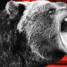 Crypto Market Bleeding Profusely, Bitcoin Dropped Below $30,000