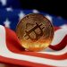 US Government Offloads Another 8,200 Bitcoin – On-chain Data